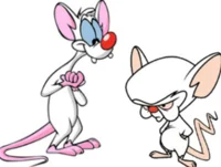 Pinky and Brain