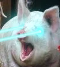 LazerPig