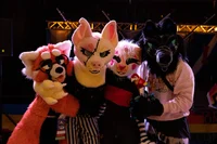 A Furry Convention