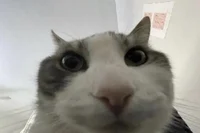 SSSSSSSSSSSSSSSSSSSS