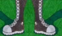 Alice Converse Boots