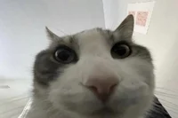 DDDDDDDDDDDDDDDDDDDD