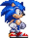 Sonic RP Owner