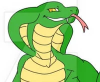 Master Raajah