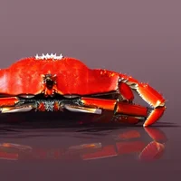 Gargyol king crabmen