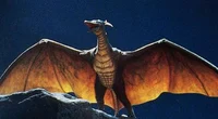 Rodan 