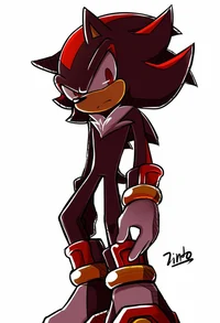 Shadow the hedgehog 