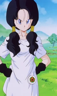 Videl 