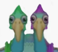 front facing quibble