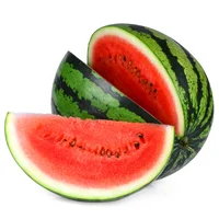 Melon