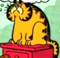 Original Garfield