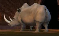 Roy the Rhino