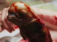 Xenomorph baby
