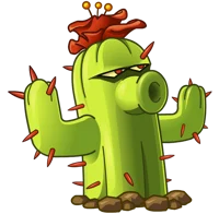 Cactus 