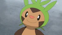 Leaf the Chespin