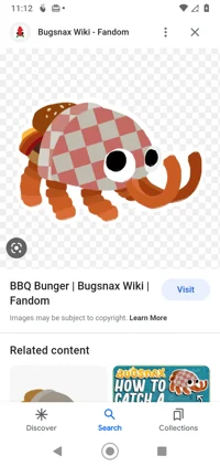 BBQ bunger
