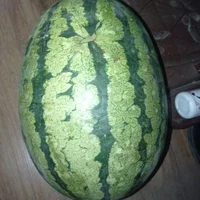 etonehesus