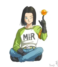 Android 17