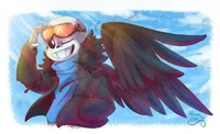 Bird Sans