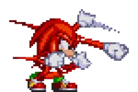 Knuckles The Echidna