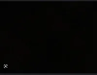 TreeGuyWhoLikesBeans