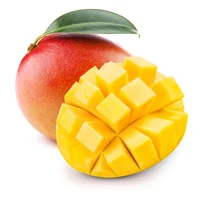 MangoBot