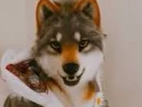 Werewolf Stereotypes