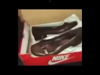 Polish Nikes 1770dlc