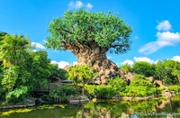 THE ANIMAL KINGDOM x