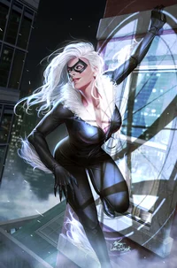 black cat 