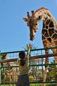 Exotic Animal Farm