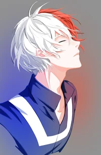 Shoto Todoroki