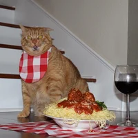 Pastacat48
