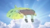 Spongegod