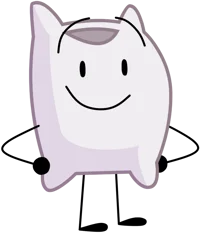 Pillow From BFB