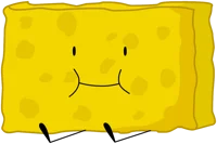 Spongy From BFB