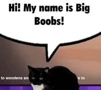 Big Boobs