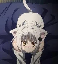 Koneko