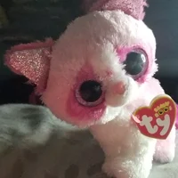 Mai the cat
