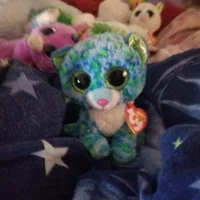 Leona the leopard