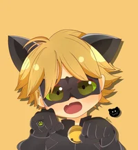 Chat Noir