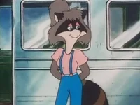 Lisa Raccoon