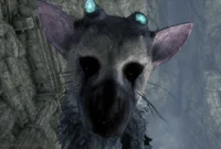Trico 