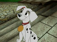 Patches Dalmatian