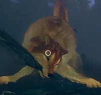 Great Bonk Shibe