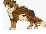 Leafpool