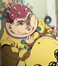 Polpo