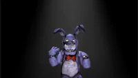 Nigerian Bonnie