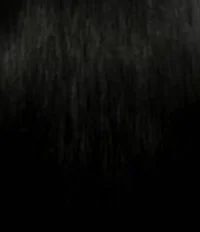 Scenario of transfur