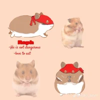 Hamster Raph